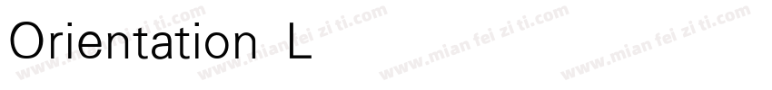 Orientation Light字体转换